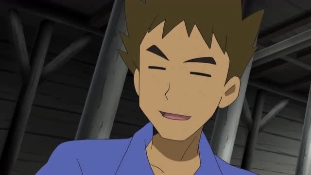 精灵宝可梦:疗疗花环使用花粉过后,小刚想去看一看小袋兽的伤