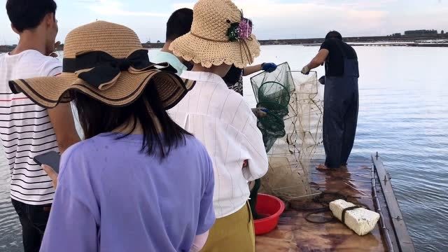 阿兴带美女西施一班网友赶海,运气太好了,一大桌海货太美味了