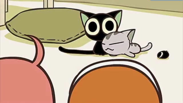 罗小黑战记:小黑究竟对小皇做了什么,小皇竟然爱上了它