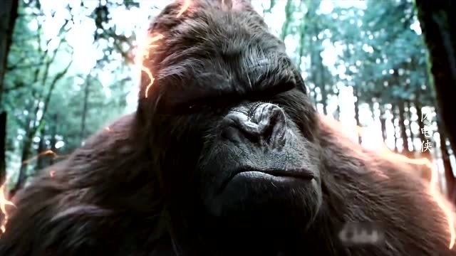 地球霸主巨猿泰坦,与闪电侠合体,变身速度与力量结合的闪电猩