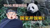 VLOG：猫和老鼠新地图熊猫谷一日游，随风看国宝吃饭馋坏了！