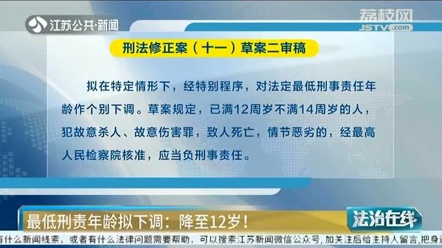 网友热议!最低刑责年龄拟下调:降至12岁!