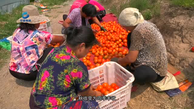乡村振兴看这里——走进小胡村