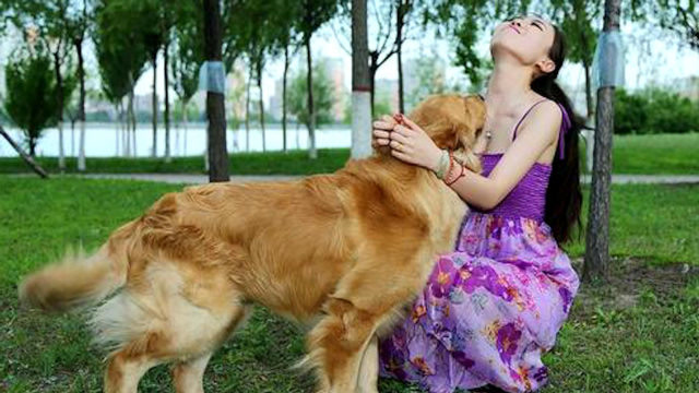 为何单身女性喜欢养大型公狗?其中两大原因,满足这一点很重要