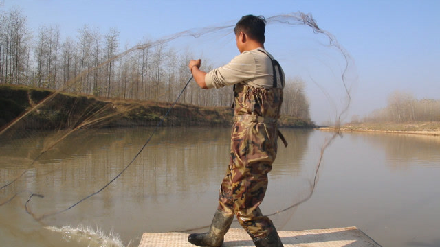 小猛哥户外深坑撒网,连续几网都有货,最后却遭放生,看看为啥