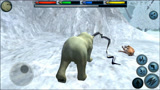 白熊模拟器：北极熊大战花豹，攻击力十足！