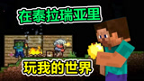 泰拉瑞亚：当MC里的怪物，跑进了其他游戏中！