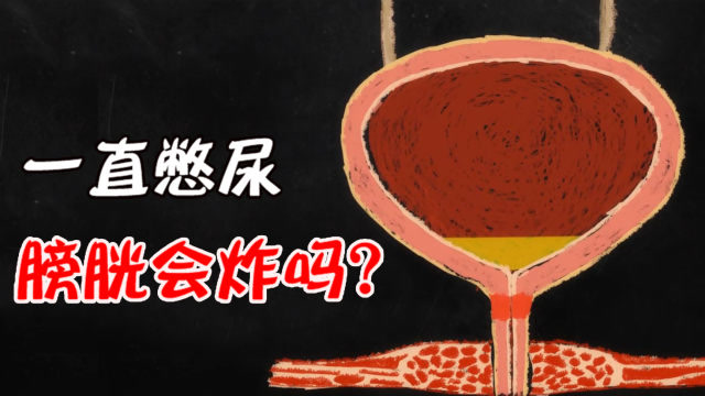 如果人一直憋尿,会发生什么!憋到极限膀胱会爆炸吗?