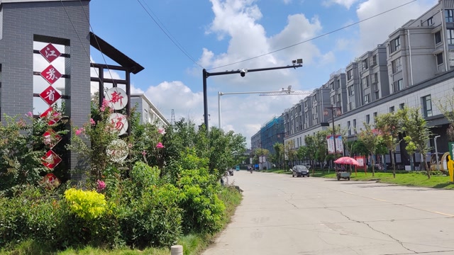 江苏省盐城市亭湖区新兴镇新场村