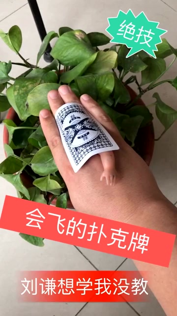魔术揭秘不用任何东西如何用一张普通扑克牌飞出去又回手里方法特简单