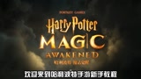 哈利波特魔法觉醒：排位系统介绍，特色三种玩法
