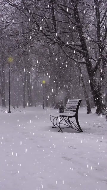 你是否只记得今朝若是同淋雪此生也算共白头却不知下一句白头若是雪可