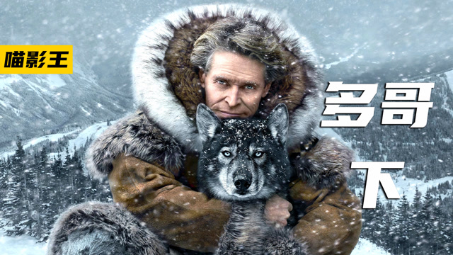 《多哥》3/3集 真实事件改变 感动全美的二哈鼻祖