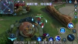 王者荣耀：诸葛亮打野这一局是真难，各种保命装换了一遍，太难了