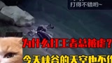 为什么打王者总被追着虐？唉，因为今天峡谷的天空也不作美#王者荣耀 #音乐改编 #游戏BGM