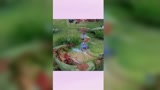 王者荣耀：被红buff出卖是种什么样的体验