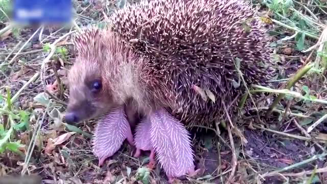 国外盘点的个人频道