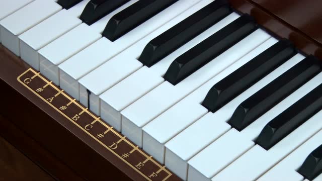 海资曼变调钢琴视频简介