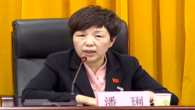 3.10县长潘琍新闻发布会(成品)