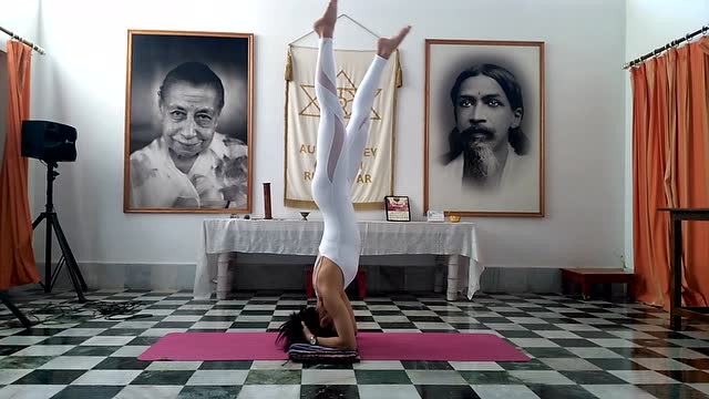 公明国际与诃陀瑜伽姜斯孟老师共赴印度参加国际瑜伽节