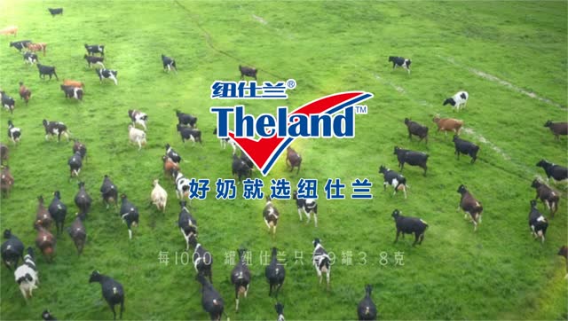【纽仕兰---新西兰自有牧场:3.8g白金牛奶】