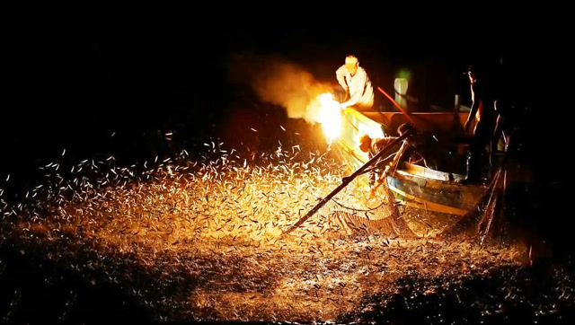 夜晚利用灯光捕鱼,太神奇太壮观了