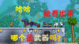 泰拉瑞亚 terraria 汉化版MOD 133 奇怪的矿锭