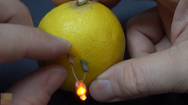 你知道吗?柠檬竟然可以当电池使用