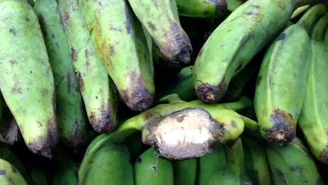 印度街头的的绿色香蕉!看他们怎么样吃的!绝对让你大开眼界!