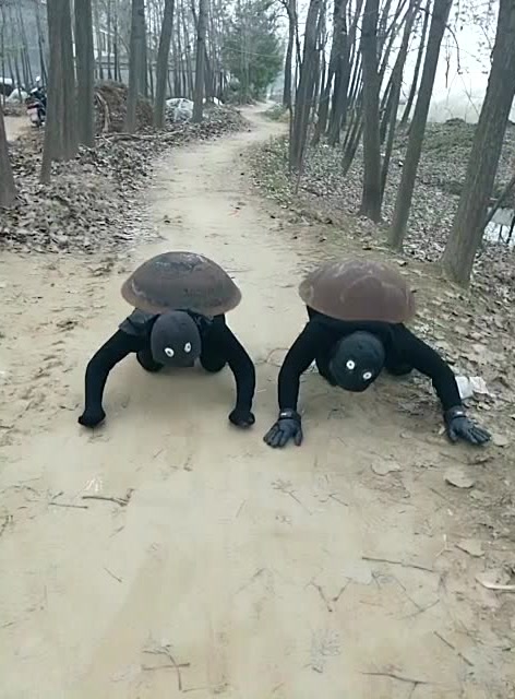 农村惊现乌龟摇 难道这就是传说中的背锅侠