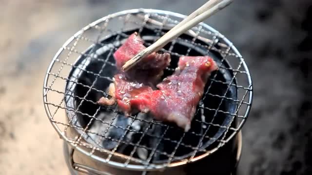 野食日记-野食哥独自野营制作美味炉火烤肉