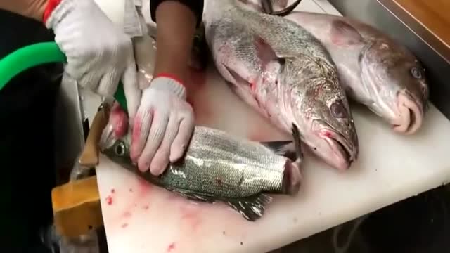 鲜活海鲈鱼放血去鳃,这样处理后一点腥味都没有