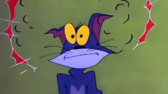 《猫和老鼠》汤姆被女主人打脑震荡,变成老鼠性格,与杰瑞做闺蜜