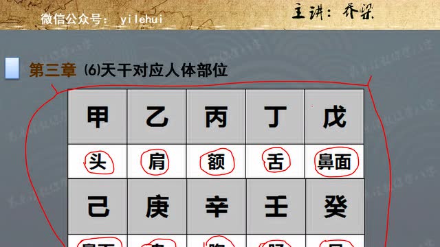 易乐汇八字命理教学9-天干脏腑身体部位