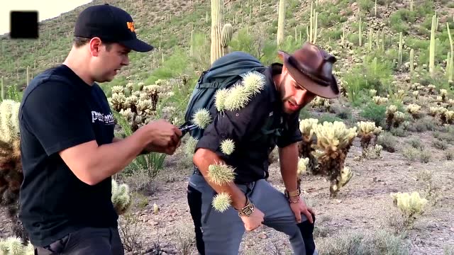 【狼叔荒野探险】被超强的跳跃仙人掌袭击 @柚子木字幕组