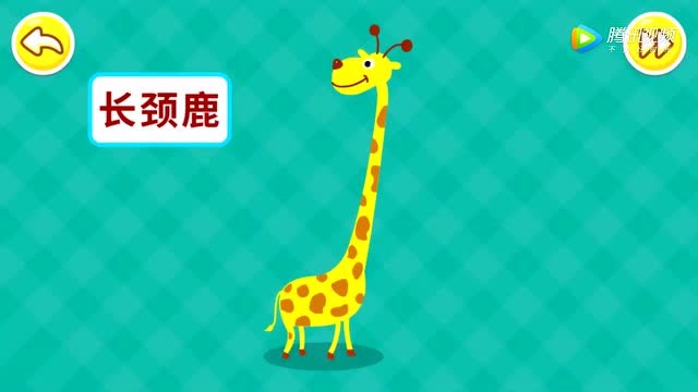 《宝宝巴士》长颈鹿有个长长的脖子,它最喜欢吃长在高处的树叶了