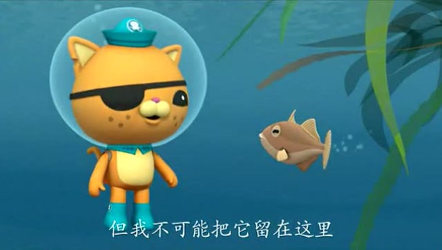 海底小纵队:扳机鱼的家在垃圾下面,第一次见喜欢垃圾的鱼