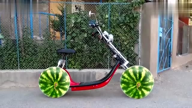 用西瓜做自行车的车轮会怎样?见识一下!