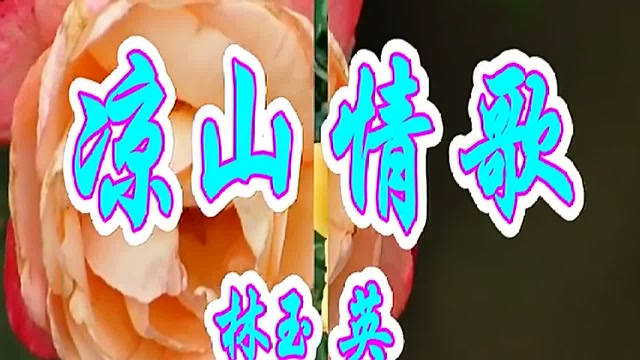 经典老歌,林玉英一首《凉山情歌》好听至极
