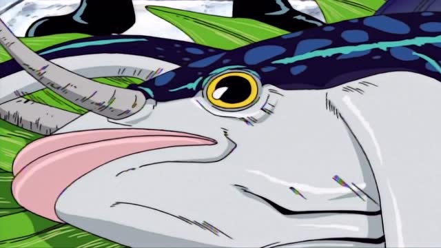 海贼王:山治在罗格镇见到了梦寐以求的食材大象鲔鱼