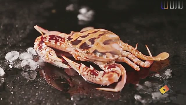 红花蟹经典做法,清蒸原汁原味,配上蘸料更是一番风味