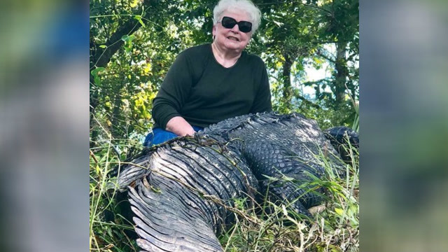 最彪悍的7旬老奶奶,苦等3年智取500斤鳄鱼,只因这起"恩怨"