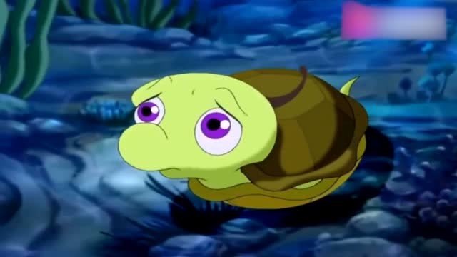 小鲤鱼历险记乌龟动漫图片