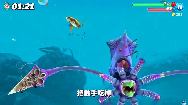 饥饿鲨世界:饥饿鲨碰到了大乌贼