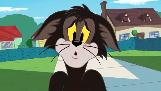 新猫和老鼠:汤姆已经被取代了,布奇入驻金吉家!