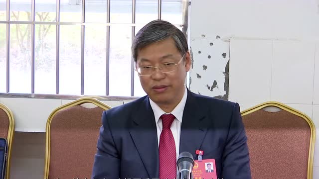 周海金参加白蕉镇斗门镇代表团分组讨论