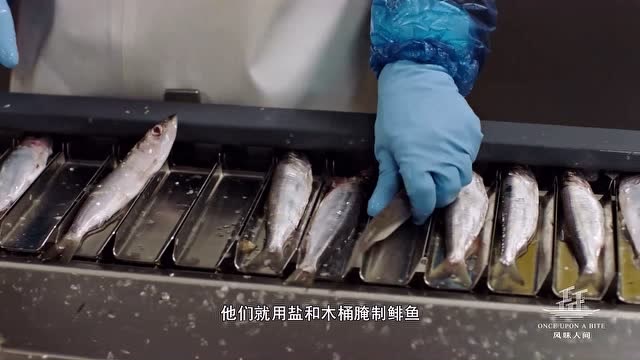 瑞典鲱鱼罐头的制作,让人更深入的了解这个东西