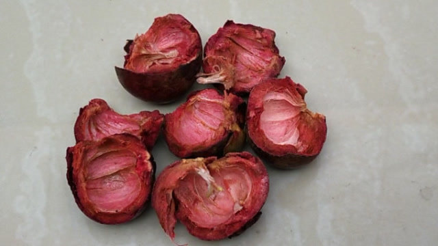 吃剩的山竹壳切记不要扔,把它扔进花盆中,真是太厉害了,快找找