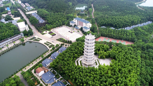 嘉鱼县官桥村八组航拍