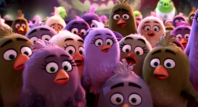 愤怒的小鸟大电影:鸟鸟们不以为然的和捣蛋猪们开心玩耍